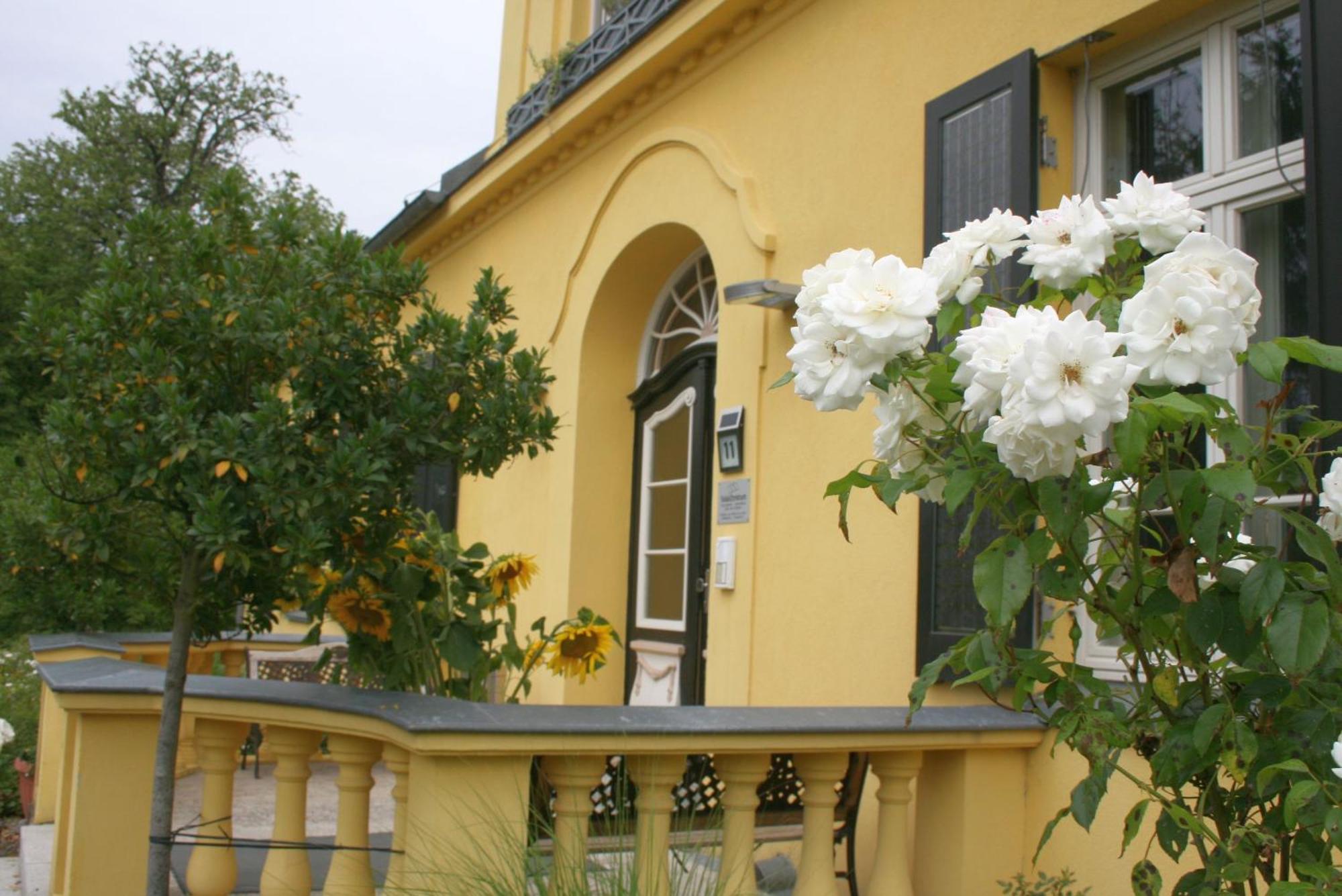 Gutshaus Mit Seeblick - Oekologisch & Nachhaltig Lubow Extérieur photo